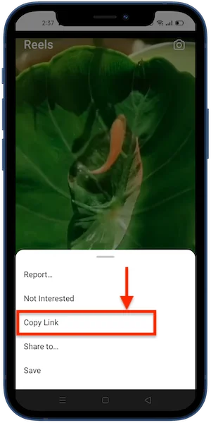 download instagram Reels video android step 02