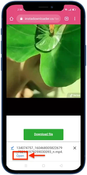 download instagram Reels video android step 06