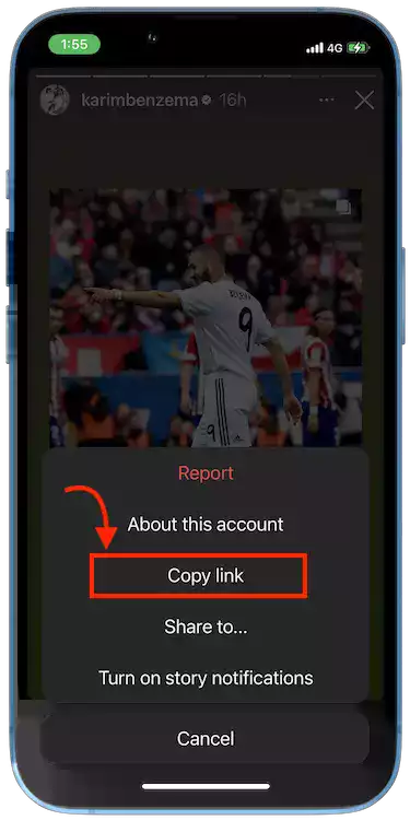 download instagram story online 02